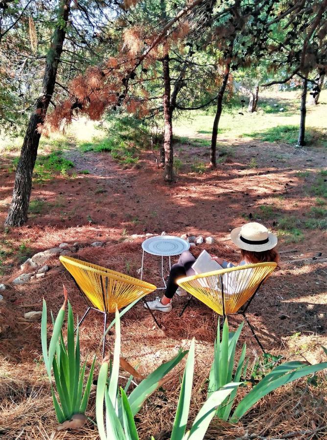 Appartement Maramare