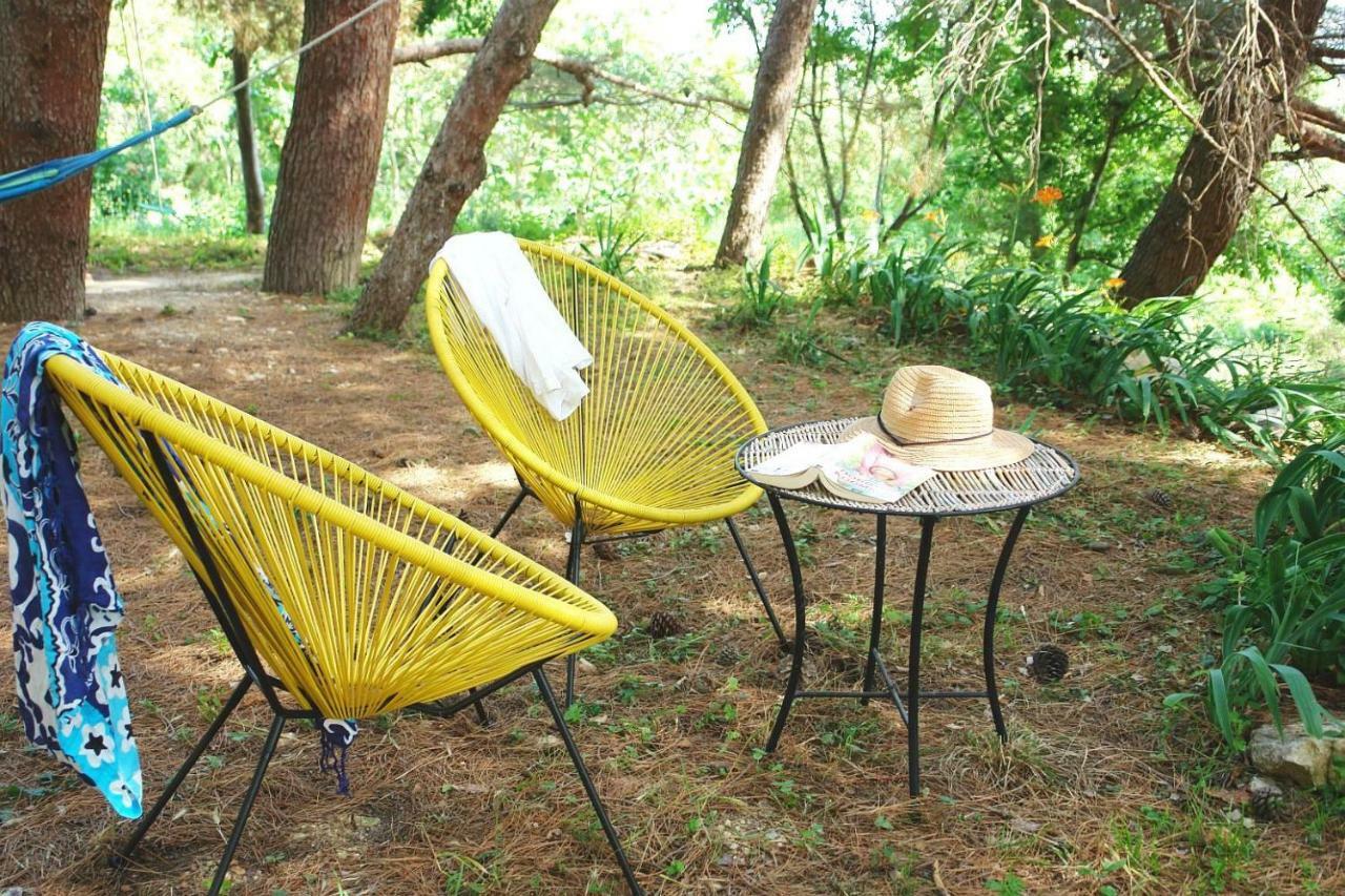 Appartement Maramare